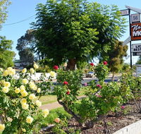 Narrogin Motel - E Caravan Parks