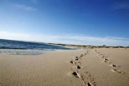 Kalbarri Palm Resort - E Caravan Parks 4