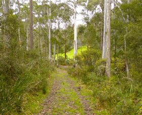 Huon Valley Eco Wilderness Retreat - E Caravan Parks 5