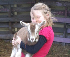 Eden Orchard And Farmstay - E Caravan Parks 2