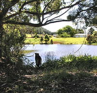 Newry Park Cottage - E Caravan Parks