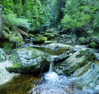 Tarkine Wilderness Experience at Corinna - E Caravan Parks