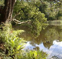 Weldborough Camping Ground - E Caravan Parks