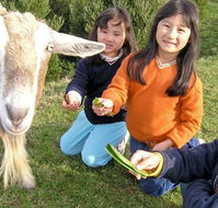 Johanna River Farm and Self Contained Cottages - E Caravan Parks