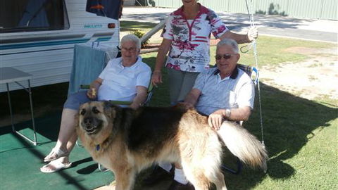 Wodonga Caravan And Cabin Park - E Caravan Parks 1