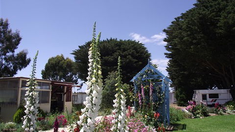 Colac Otway Caravan & Cabin Park - E Caravan Parks 1