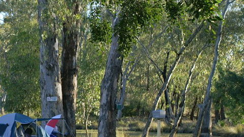 Numurkah Caravan Park - E Caravan Parks 2