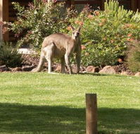 Southern Grampians Cottages - E Caravan Parks