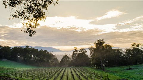 Ainsworth Estate - E Caravan Parks 1