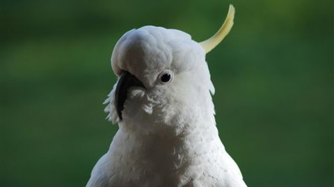 Around About Lorne Studios Or B&B - E Caravan Parks 0