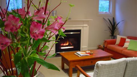 Around About Lorne Studios Or B&B - E Caravan Parks 4