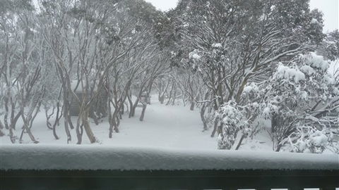 Leeton Lodge - E Caravan Parks 6