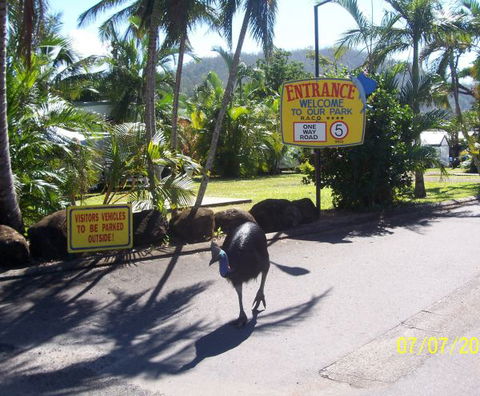 Flying Fish Point Tourist Park - E Caravan Parks 9