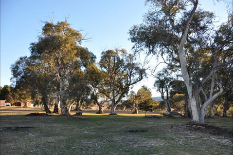 Braemar Bay Holiday Park - E Caravan Parks 5