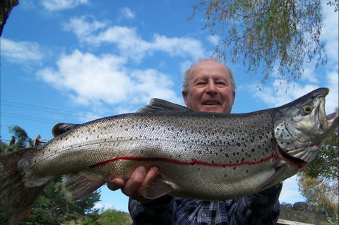 Braemar Bay Holiday Park - E Caravan Parks 7
