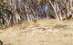 Braemar Bay Holiday Park - thumb 10