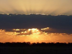 Collie NSW E Caravan Parks