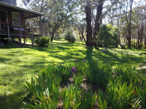 Mount Cole Cottages - E Caravan Parks 8