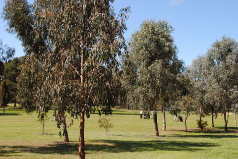 Casa Pizzini Bed And Breakfast - E Caravan Parks 6