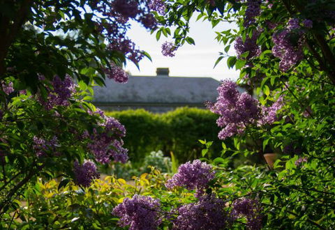 Eurambeen Historic Homestead And Gardens - E Caravan Parks 1