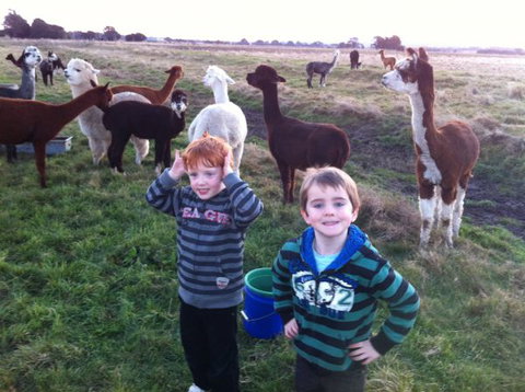 Grange Cleveland Winery Retreat - E Caravan Parks 3