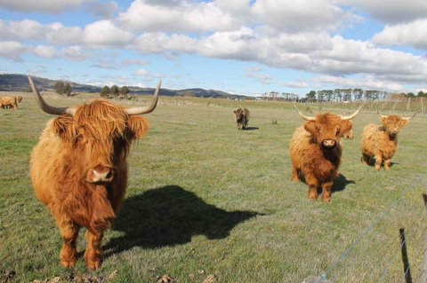 Grange Cleveland Winery Retreat - E Caravan Parks 6