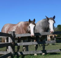 Clydesdale Motel and Steakhouse - E Caravan Parks