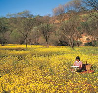 Miners Camp at Coalseam National Park - E Caravan Parks