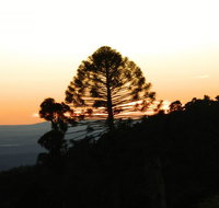 Bunya Mountains Accommodation Centre