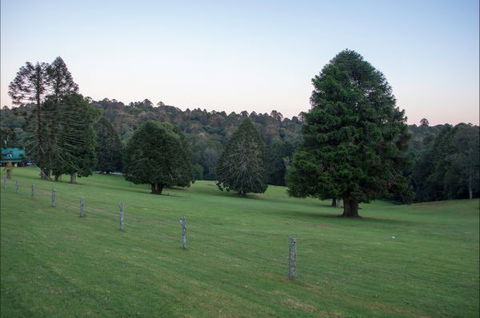 Bunya Mountains Accommodation Centre - E Caravan Parks 5