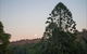 Bunya Mountains Accommodation Centre - thumb 6