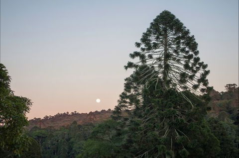Bunya Mountains Accommodation Centre - E Caravan Parks 6