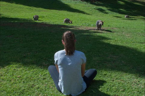 Bunya Mountains Accommodation Centre - E Caravan Parks 7