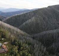 YMCA Howmans Gap Alpine Centre
