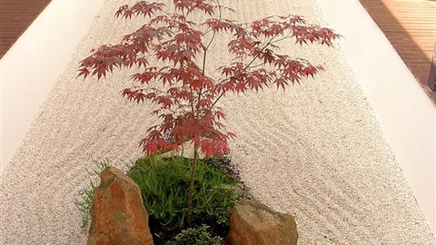 Shizuka Ryokan Japanese Country Spa & Wellness Retreat - E Caravan Parks 6