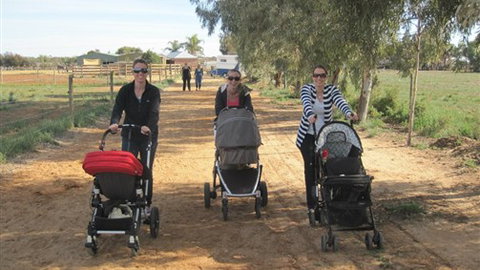 Cabarita Lodge - E Caravan Parks 3