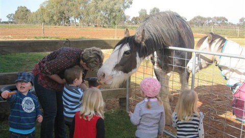 Cabarita Lodge - E Caravan Parks 4