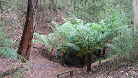 Muxy's Place - E Caravan Parks 1