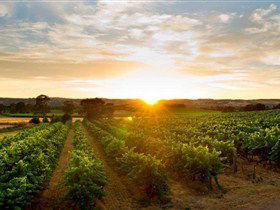 Serafino McLaren Vale - E Caravan Parks 1