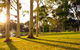 Serafino McLaren Vale - thumb 3