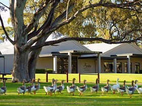 Serafino McLaren Vale - E Caravan Parks 2