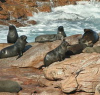 Yondah Beach House - E Caravan Parks