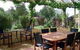 Bellevue Bed & Breakfast - thumb 5