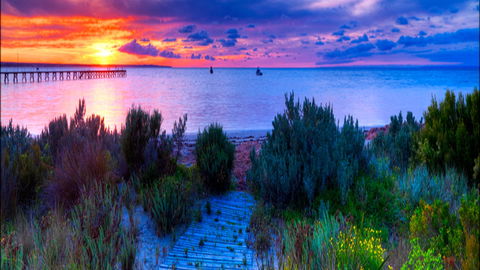 Marion Bay Caravan Park - E Caravan Parks 1