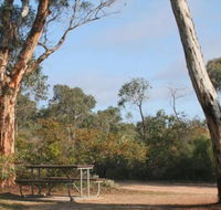 Drummonds Camp at Avon Valley National Park - E Caravan Parks