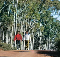 Congelin Camp at Dryandra Woodland - E Caravan Parks