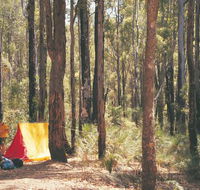 Nanga Mill Camp at Lane Poole Reserve - E Caravan Parks