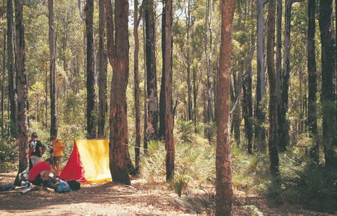 Nanga Mill Camp At Lane Poole Reserve - E Caravan Parks 0