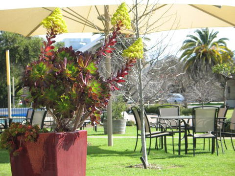 Wine Village Motor Inn - E Caravan Parks 3