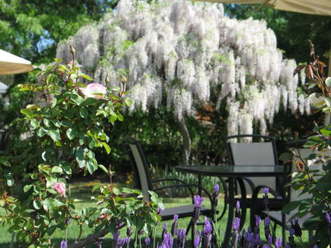 Wine Village Motor Inn - E Caravan Parks 5